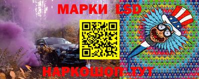 крисы Шахты