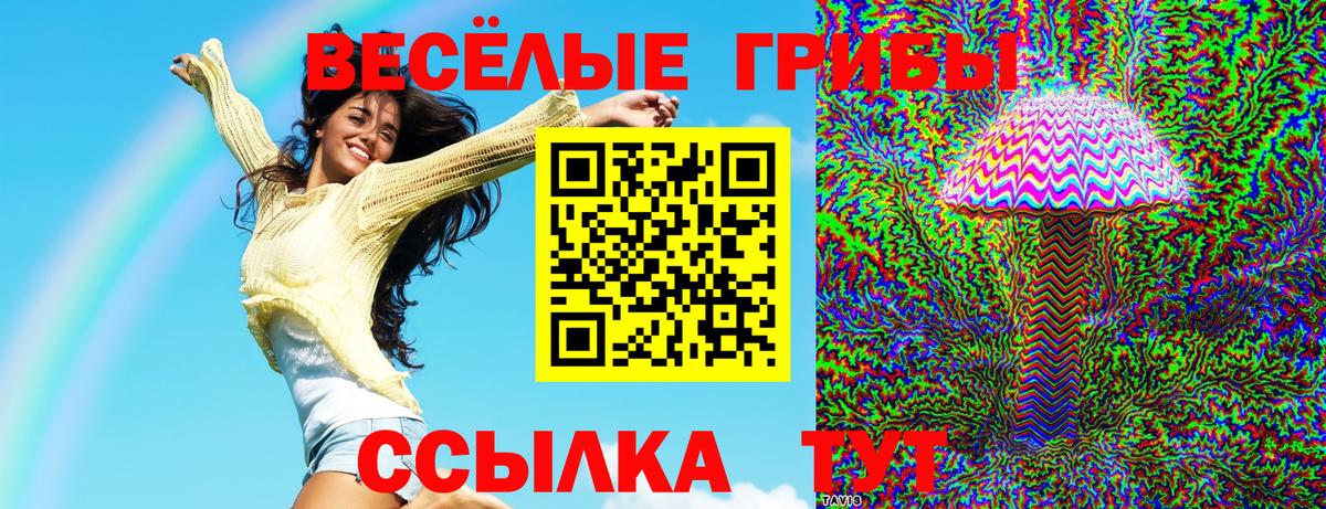 Богданович  Галлюциногенные грибы Magic Shrooms  Вход с VPN 